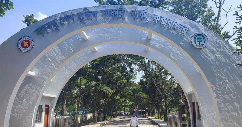 ছবি: প্রতিনিধি