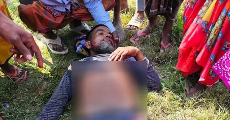 সংগৃহীত ছবি