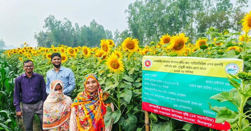 ছবি: খোলা কাগজ 