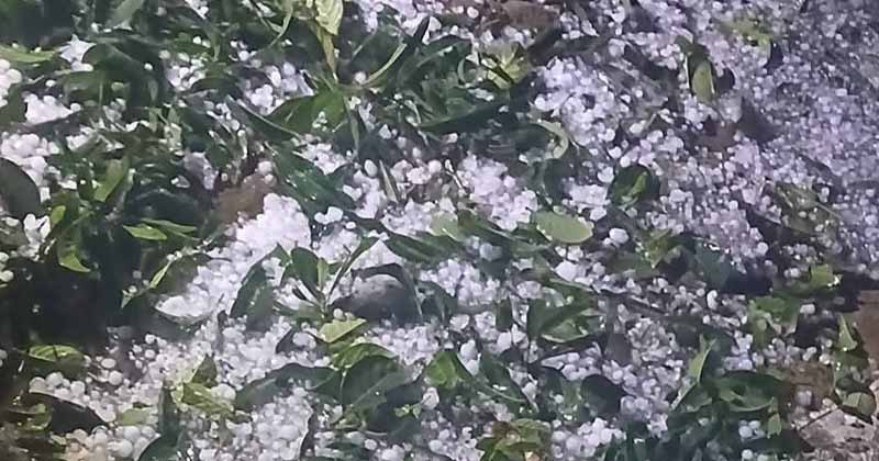ছবি: খোলা কাগজ