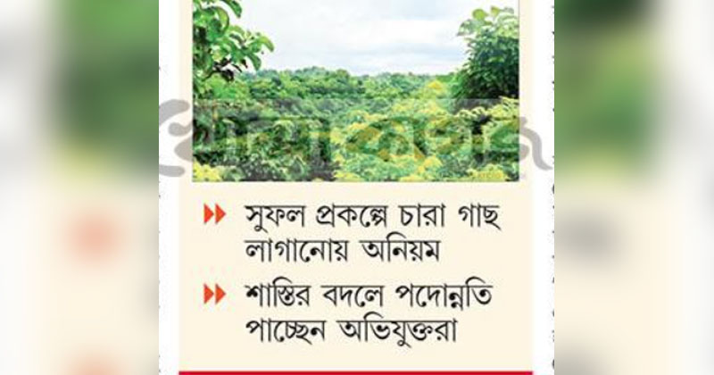 ছবি: খোলা কাগজ