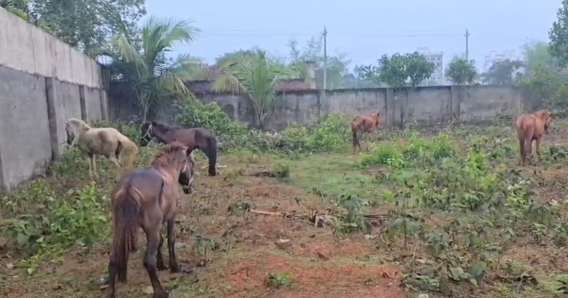 ছবি: প্রতিনিধি