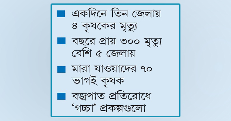 ছবি : খোলা কাগজ