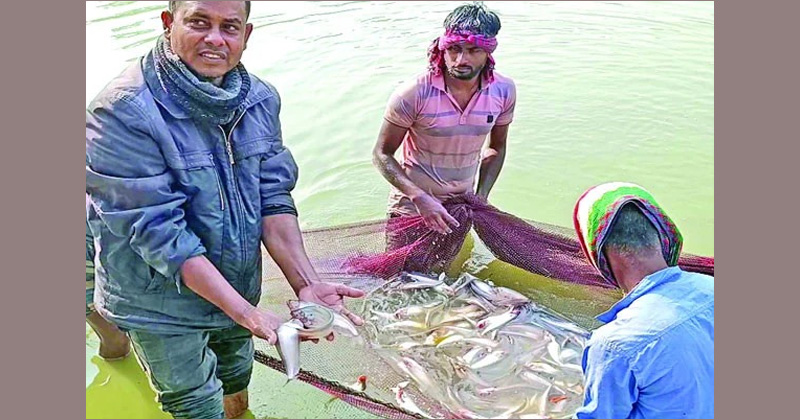 ছবি: প্রতিনিধি
