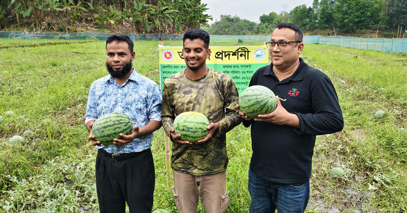 ছবি : খোলা কাগজ