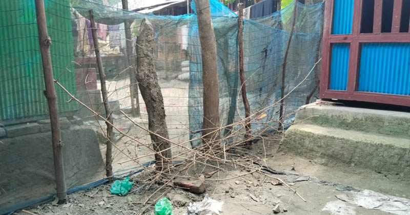 ছবি: প্রতিনিধি
