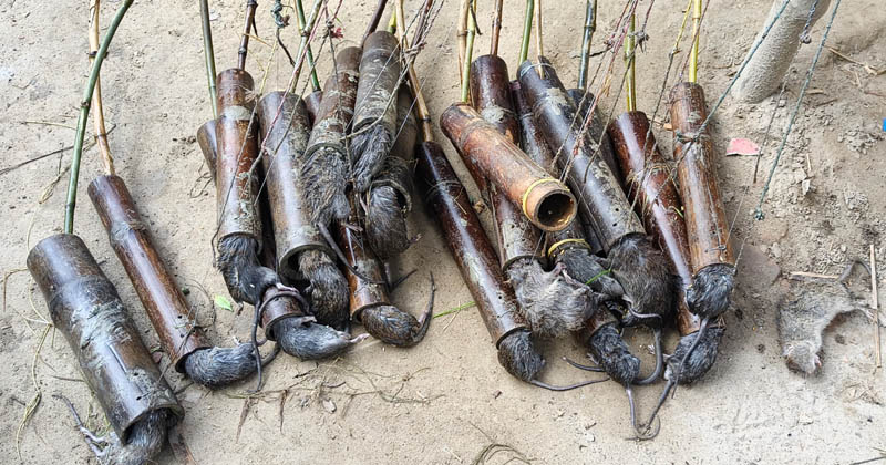 ছবি: খোলা কাগজ