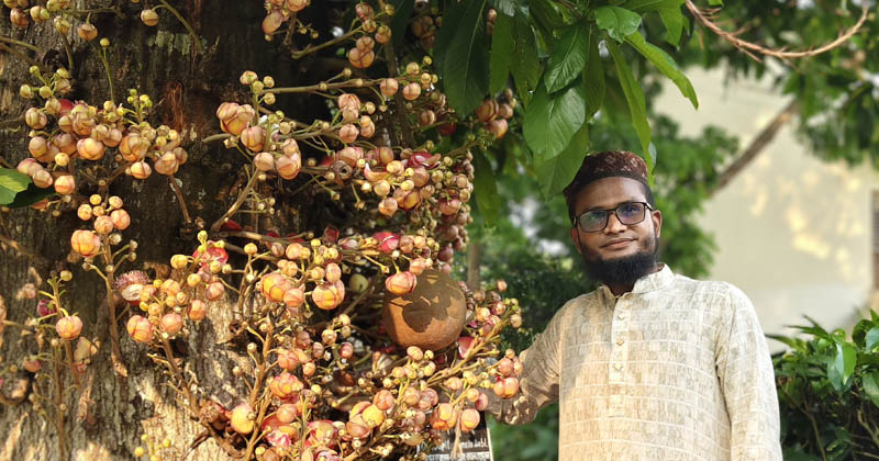 শ্রীমঙ্গলে অবস্থিত বাংলাদেশ চা গবেষণা কেন্দ্রের পুকুরপাড়ে বিশাল নাগলিঙ্গমগাছটি এখন ফুলে-ফলে পল্লবিত