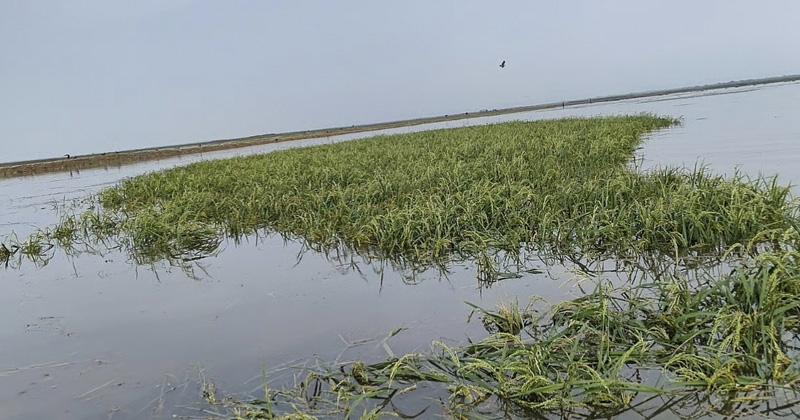 ছবি: প্রতিনিধি