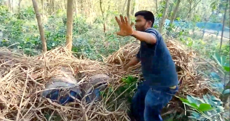 ছবি: প্রতিনিধি