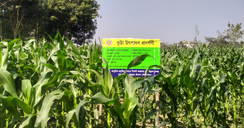 ছবি: প্রতিবেদক