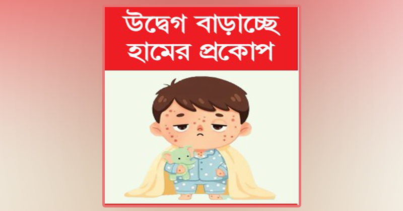 ছবি: খোলা কাগজ