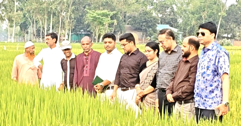 ছবি: প্রতিনিধি