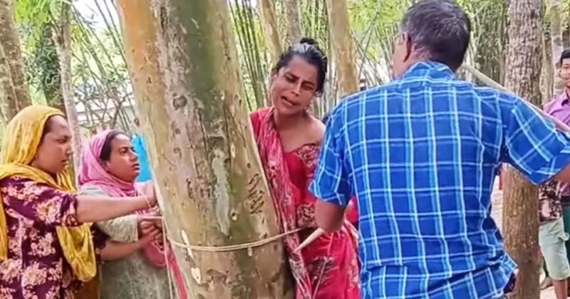 সংগৃহীত ছবি
