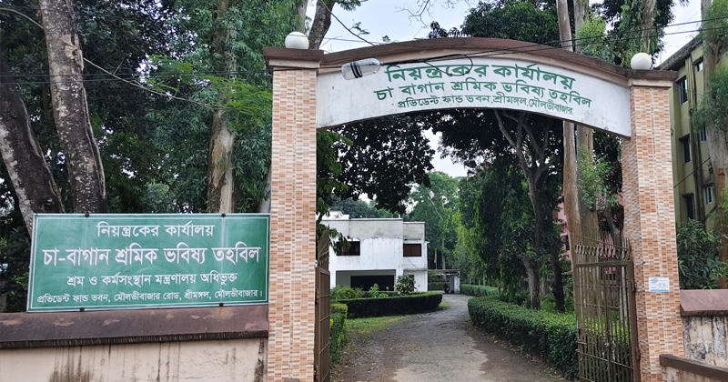 ছবি : খোলা কাগজ