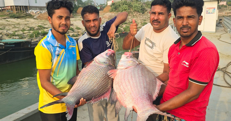 ছবি: প্রতিনিধি