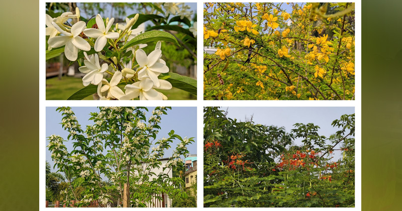 ছবি: প্রতিবেদক