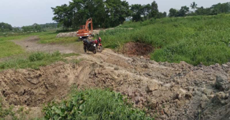 সংগৃহীত ছবি