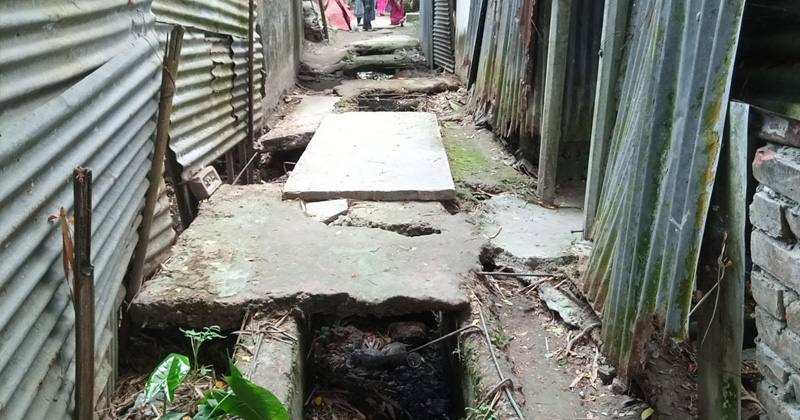 ছবি : খোলা কাগজ