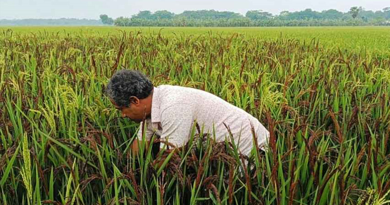 ছবি: প্রতিনিধি