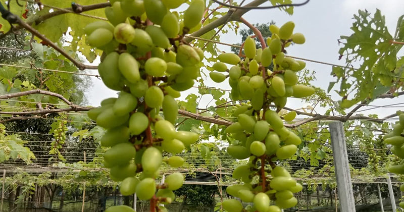 ছবি: প্রতিনিধি