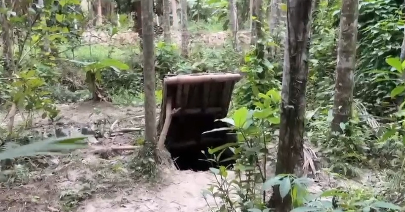ছবি: প্রতিনিধি