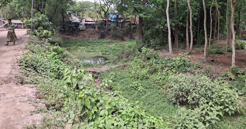 ছবি : খোলা কাগজ