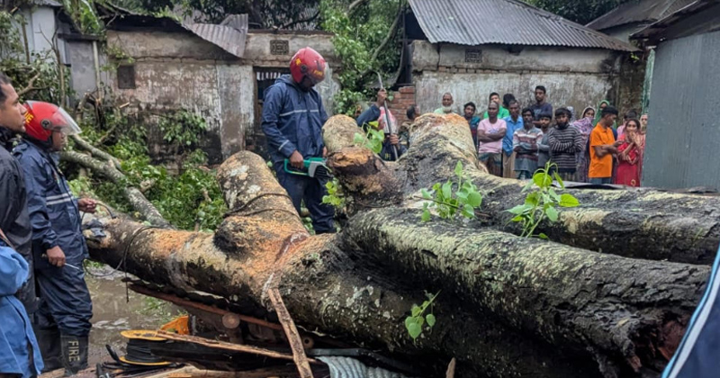 ছবি: প্রতিনিধি