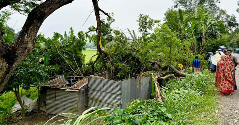 ছবি: প্রতিনিধি