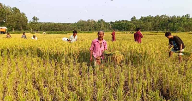 ছবি: প্রতিনিধি
