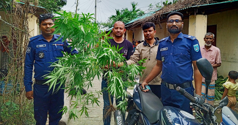 ছবি: প্রতিনিধি
