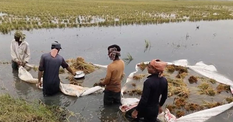 ছবি: প্রতিনিধি