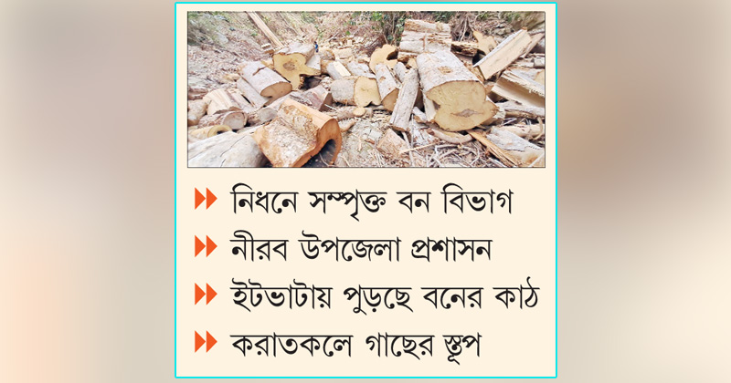 ছবি: খোলা কাগজ