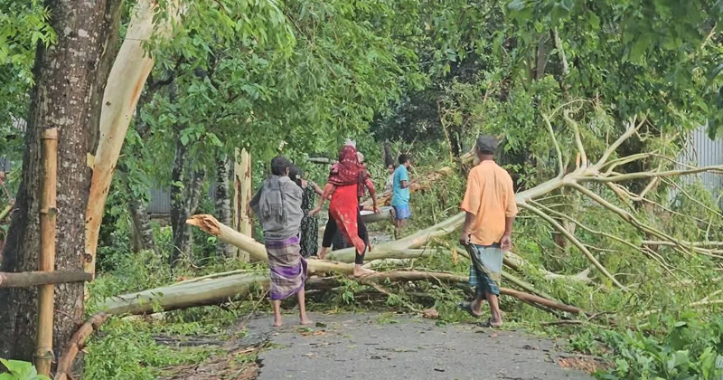 ছবি: প্রতিনিধি