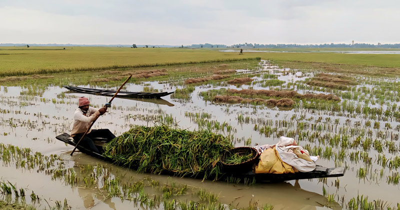 ছবি: প্রতিনিধি