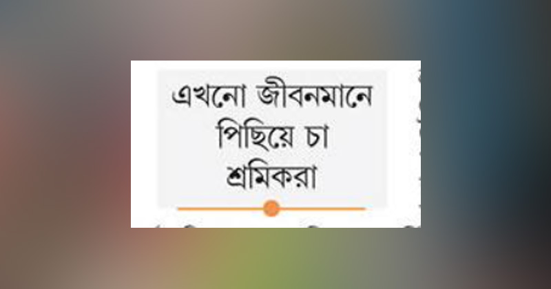 ছবি: খোলা কাগজ
