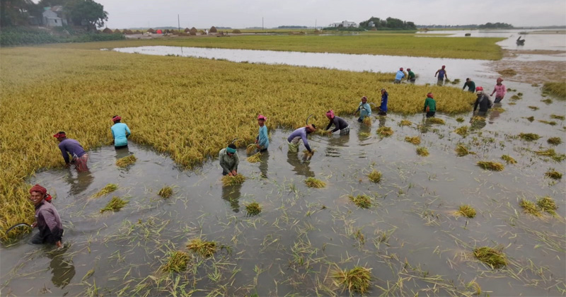 ছবি: খোলা কাগজ
