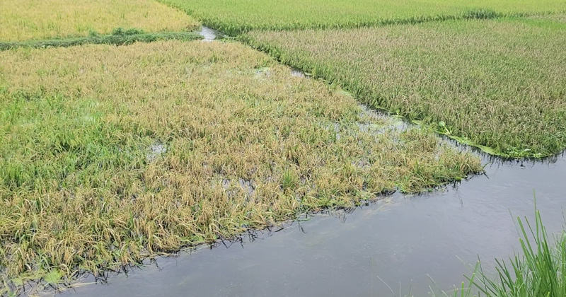 ছবি: খোলা কাগজ