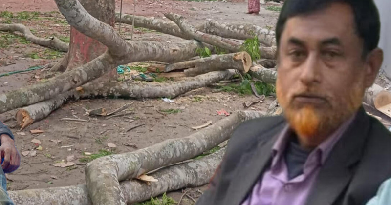 ছবি: প্রতিনিধি