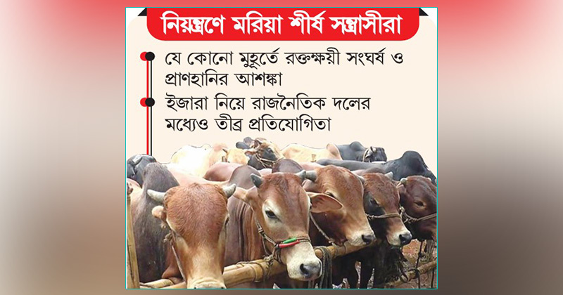 ছবি: খোলা কাগজ
