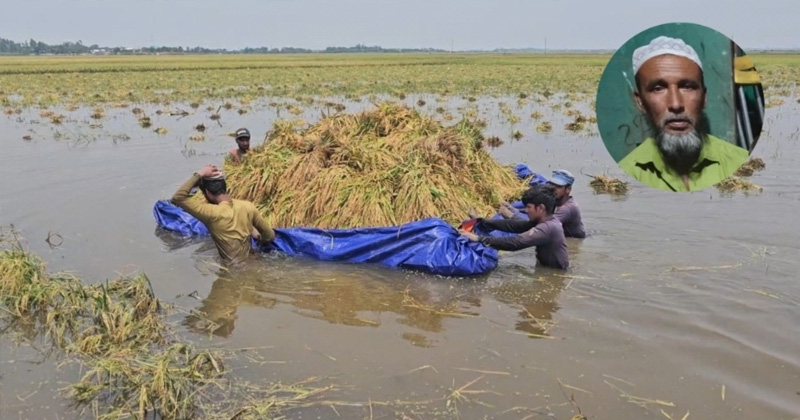 ছবি: প্রতিনিধি