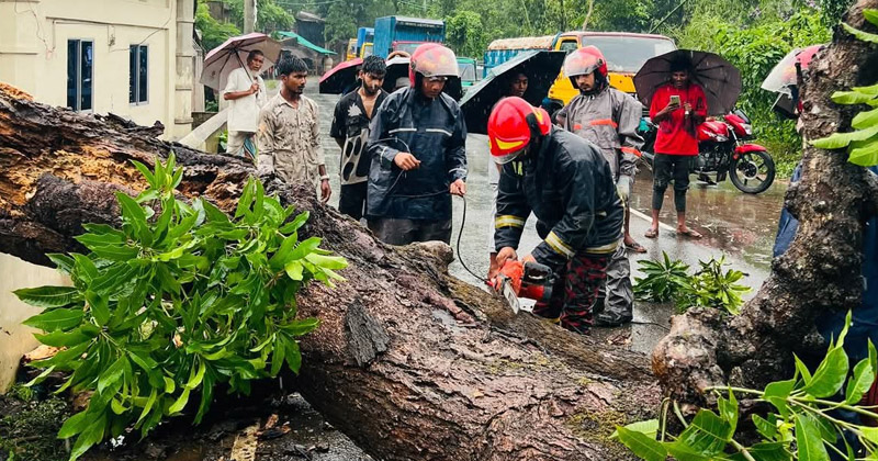 ছবি: প্রতিনিধি