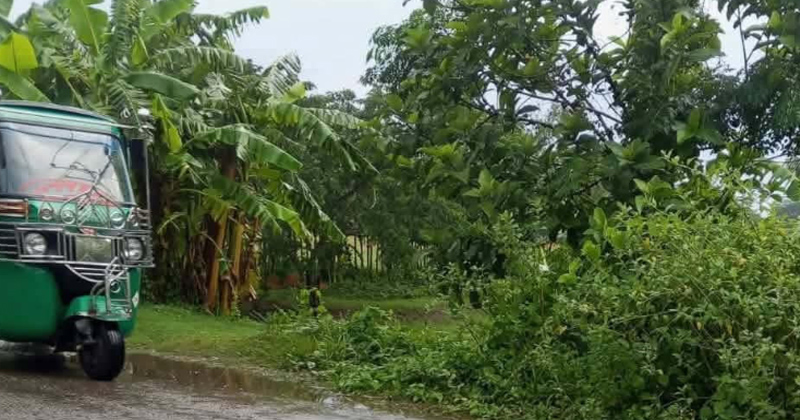 ছবি: প্রতিনিধি