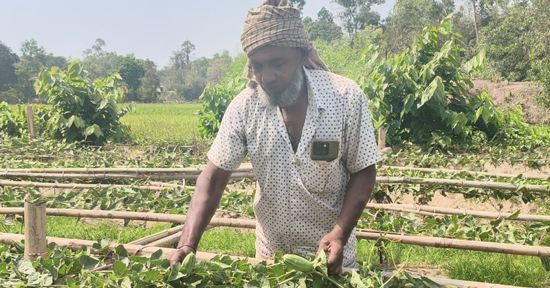 ছবি: প্রতিনিধি