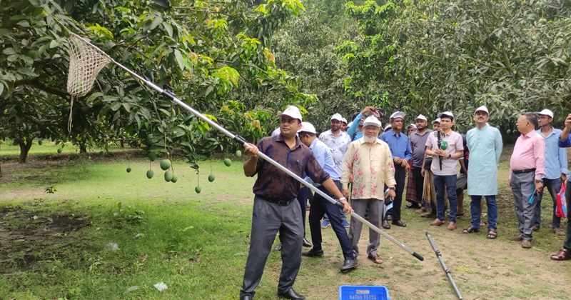 ছবি: প্রতিনিধি