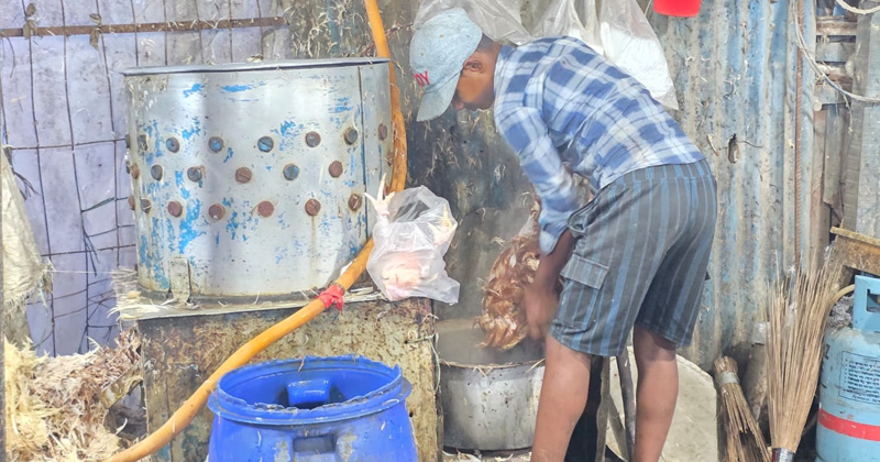 ছবি: খোলা কাগজ