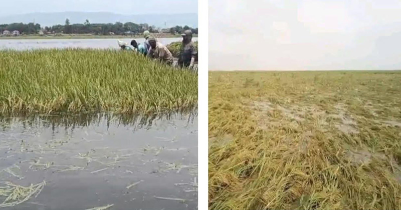 ছবি: প্রতিনিধি