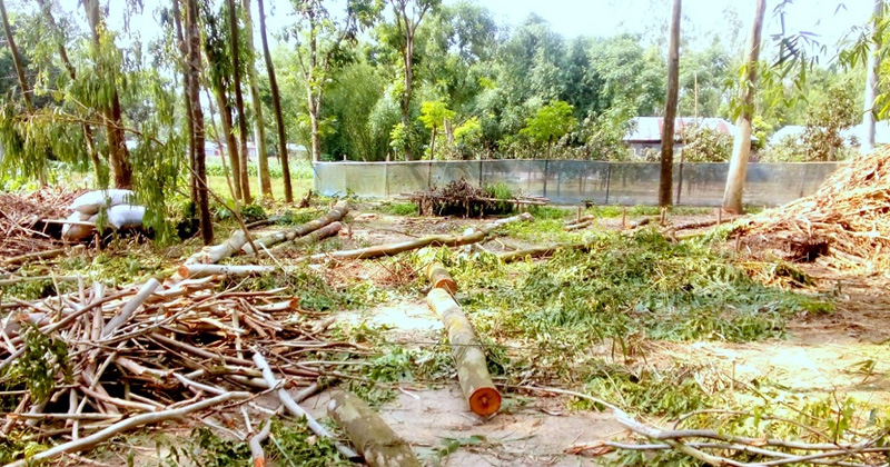 ছবি : খোলা কাগজ
