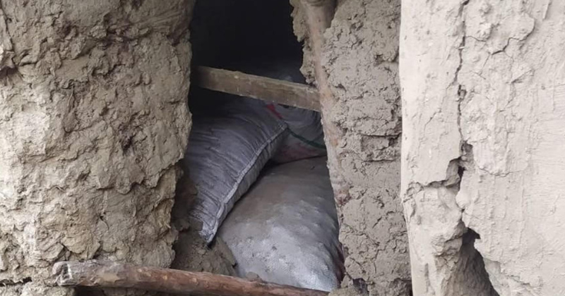 বগুড়ায় ডাকাতি করে পালানোর সময় গণপিটুনিতে নিহত ১