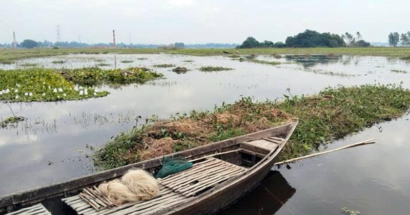 পানি নিষ্কাশনের পথ বন্ধ, ধামরাইয়ে ৫ হাজার একর জমিতে জলাবদ্ধতা